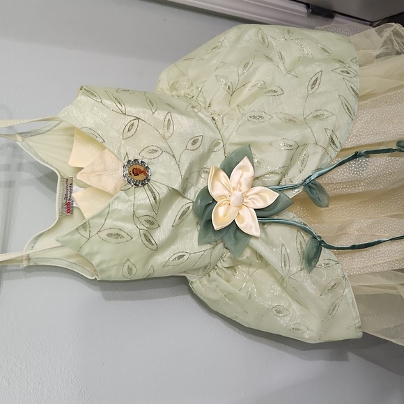 Tiana dress up dress - Picture 1 of 8